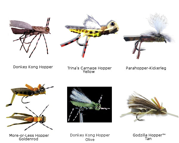 Hopper Fly Assortment - 6 piece I - #08 or #10