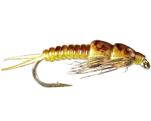 Pennington's D-Rib Golden
#8-12
