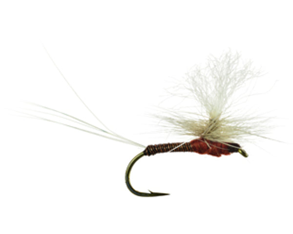 REF Red Quill Parachute