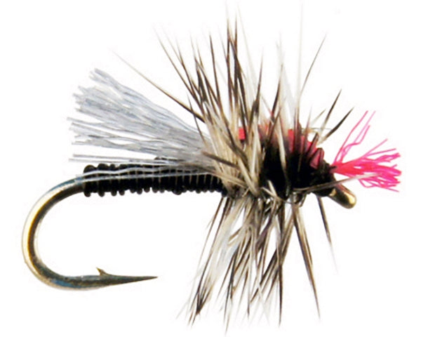 Ritt's ARF Midge Adult - Black