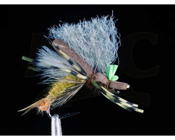 Saliga's Low-Rider Skwala