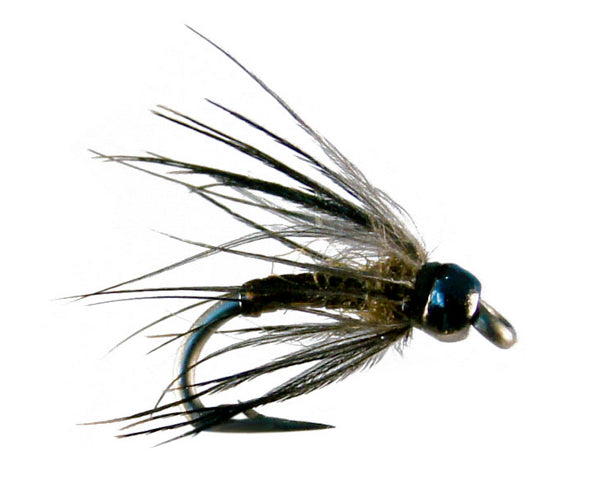 Scooter's Soft Serve BWO