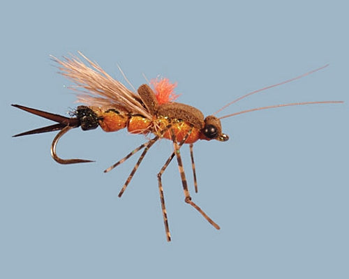 Spencer's Chewy Stone - Salmonfly