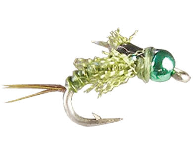 Thurman's Lucent Psuedo May - Olive
#14-18