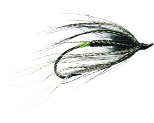 Tiny Dancer - Green Butt