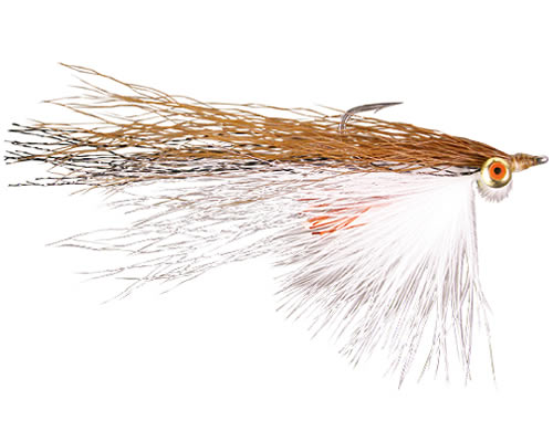 Wiese's Swimming Minnow - Brown