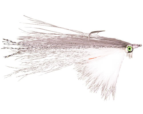 Wiese's Swimming Minnow - Grey