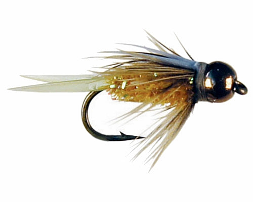 Wiese's Lucent Prince - Amber