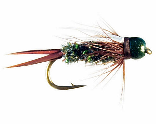 Wiese's Lucent Prince - Peacock
