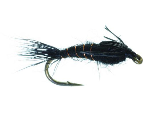 All Purpose Nymph
