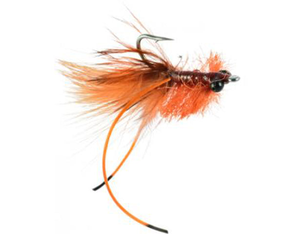 Carpin Toad - Rust - #06 & 08