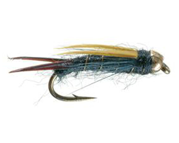Dark Lord - Gold/Black - #12-18