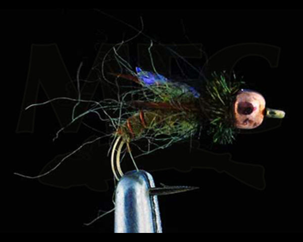 Hogan's Yuba Pupa - Dark Olive - #12 - 18