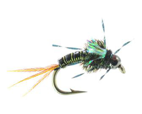 Hotwire May - Olive or Amber