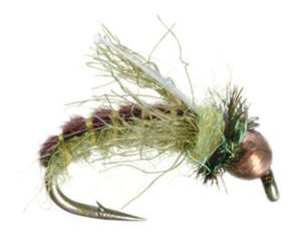 Z-Wing Caddis - Copper/Green - #14-18